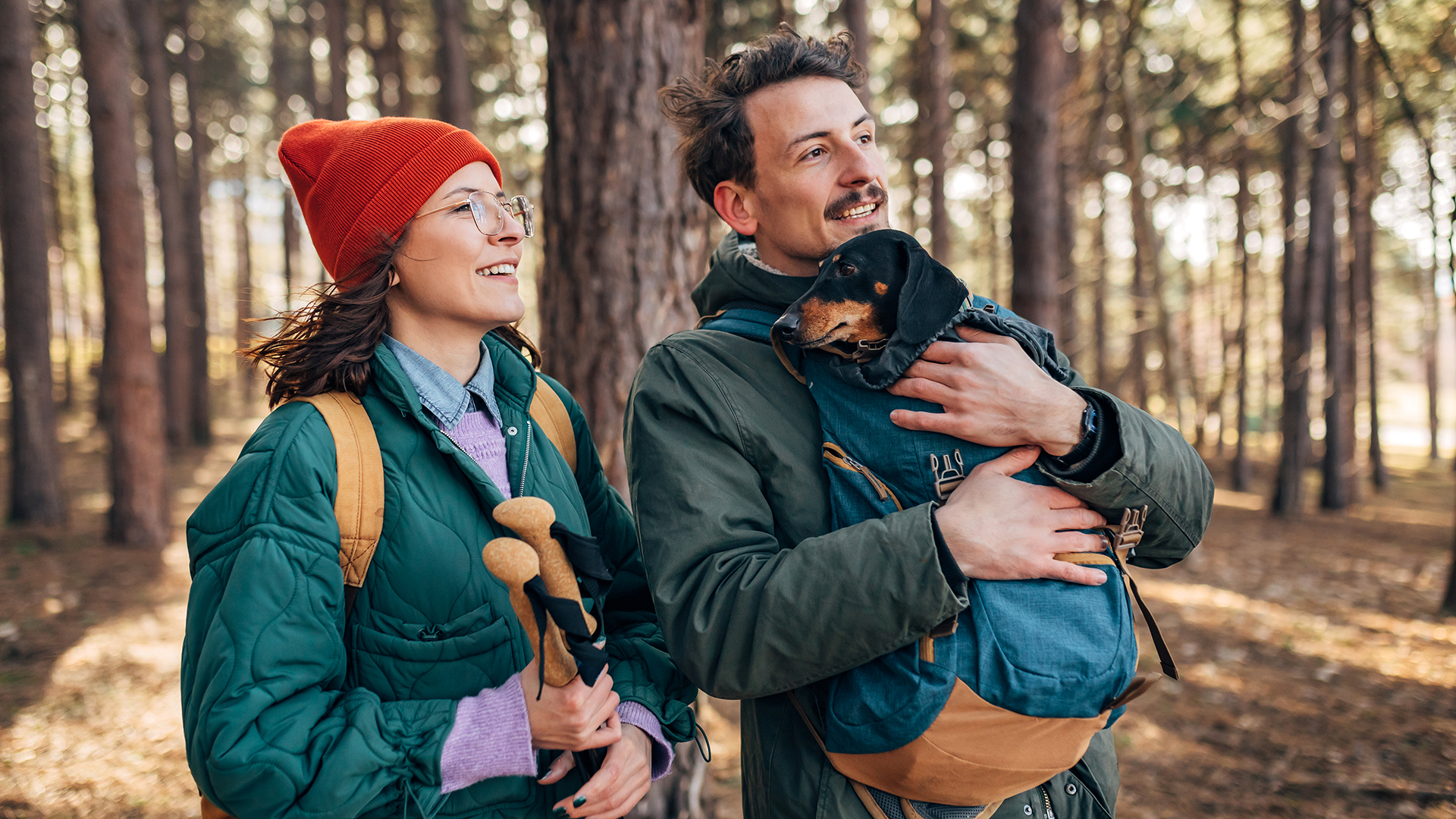 2 Tage 1 Nacht 2 Urlaub mit Hund im Harz für 2 (1 Nacht) in Wird gestellt: Hundenapf und eine Hundedecke auf dem Hotelzimmer inkl. Halbpension Weihnachtsreise 2024 online kaufen 2 Tage 1 Nacht 2 Urlaub mit Hund im Harz für 2 (1 Nacht) in Wird gestellt: Hundenapf und eine Hundedecke auf dem Hotelzimmer inkl. Halbpension Weihnachtsreise 2024 online kaufen
