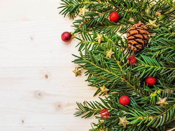 2 Tage Erfurter Advent in Apfelstädt, Thüringen inkl. Halbpension Weihnachtsreise 2024 online kaufen 2 Tage Erfurter Advent in Apfelstädt, Thüringen inkl. Halbpension Weihnachtsreise 2024 online kaufen