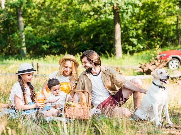 2 Tage Familien-Marienbader-Aufenthalt - 2 Nächte in Marienbad (Mariánské Lázně), Karlsbad (Karlovarský kraj) inkl. Halbpension Weihnachtsreise 2024 online kaufen 2 Tage Familien-Marienbader-Aufenthalt - 2 Nächte in Marienbad (Mariánské Lázně), Karlsbad (Karlovarský kraj) inkl. Halbpension Weihnachtsreise 2024 online kaufen