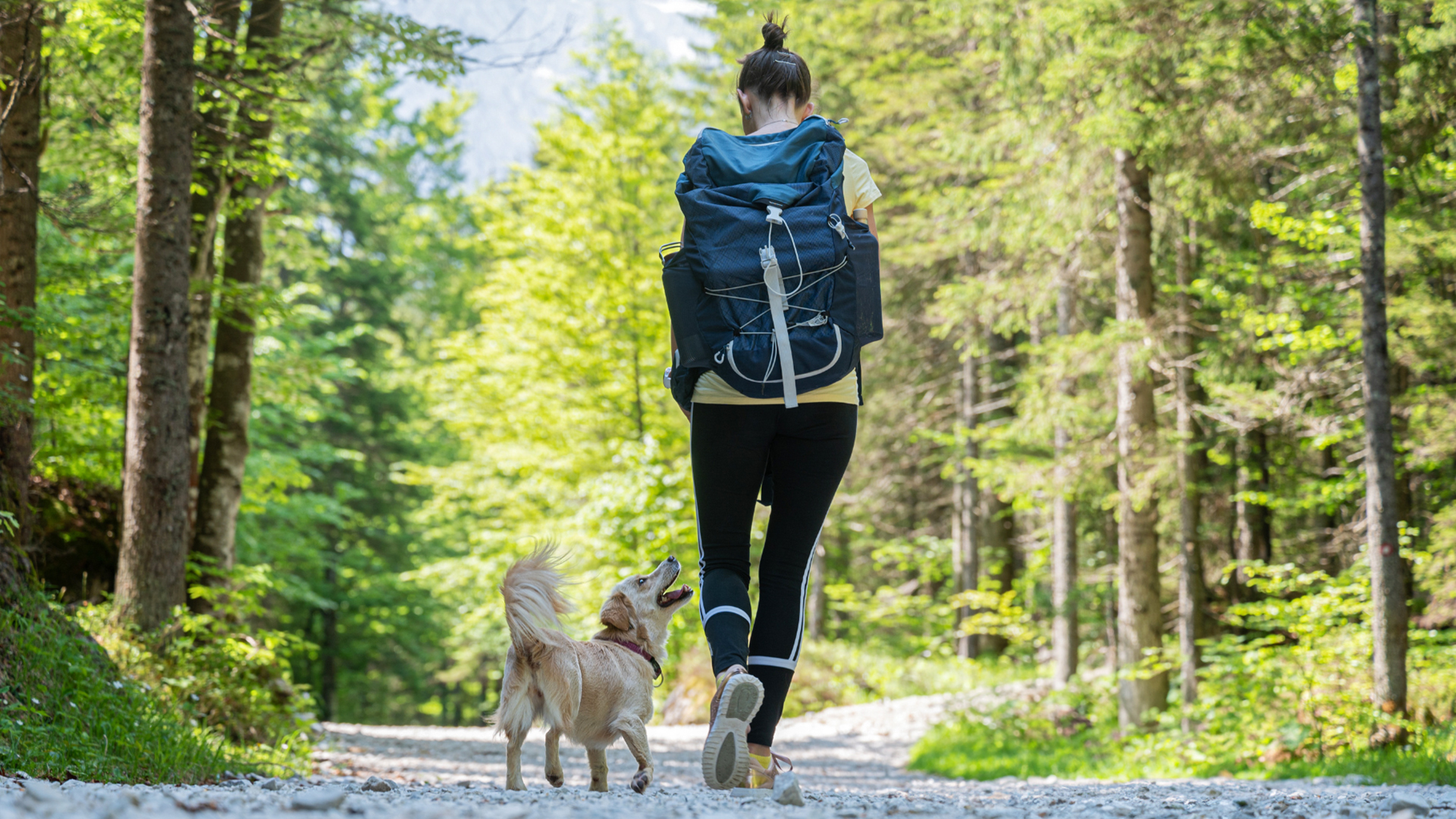 2 Tage Urlaub mit Hund im Harz für 2 (1 Nacht) inkl. Halbpension Weihnachtsreise 2024 online kaufen 2 Tage Urlaub mit Hund im Harz für 2 (1 Nacht) inkl. Halbpension Weihnachtsreise 2024 online kaufen