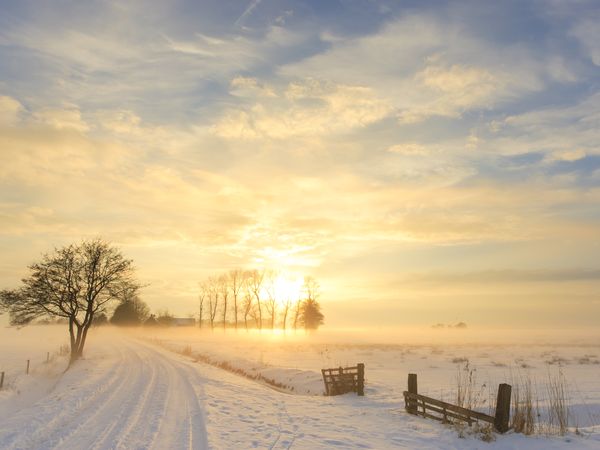 2 Tage - Verwöhnen im Winter für Zwei inkl. Candle-Light-Dinner in Meppen, Niedersachsen inkl. Halbpension Weihnachtsreise 2024 online kaufen
