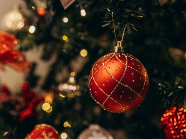 2 Tage Weihnachts-Arrangement in Halle (Westf.), Nordrhein-Westfalen inkl. Halbpension Weihnachtsreise 2024 online kaufen