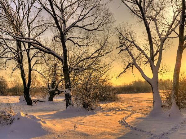 2 Tage Weihnachtszeit am Müritz-Nationalpark in Neustrelitz, Mecklenburg-Vorpommern inkl. Halbpension Weihnachtsreise 2024 online kaufen 2 Tage Weihnachtszeit am Müritz-Nationalpark in Neustrelitz, Mecklenburg-Vorpommern inkl. Halbpension Weihnachtsreise 2024 online kaufen