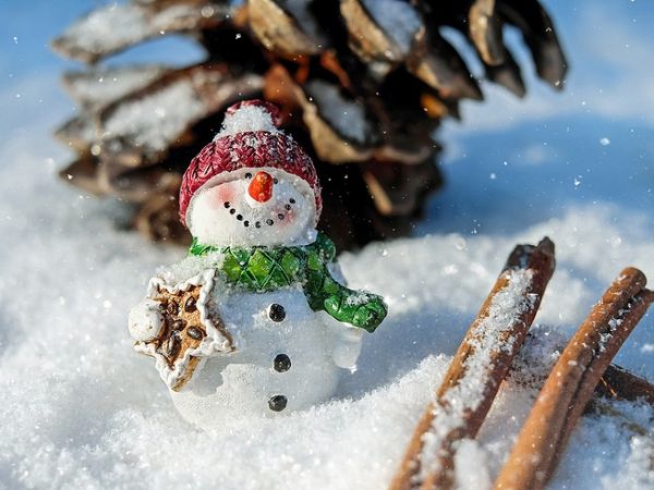 2 Tage Winter-Juwel in Staufenberg (Hessen) inkl. Halbpension Weihnachtsreise 2024 online kaufen