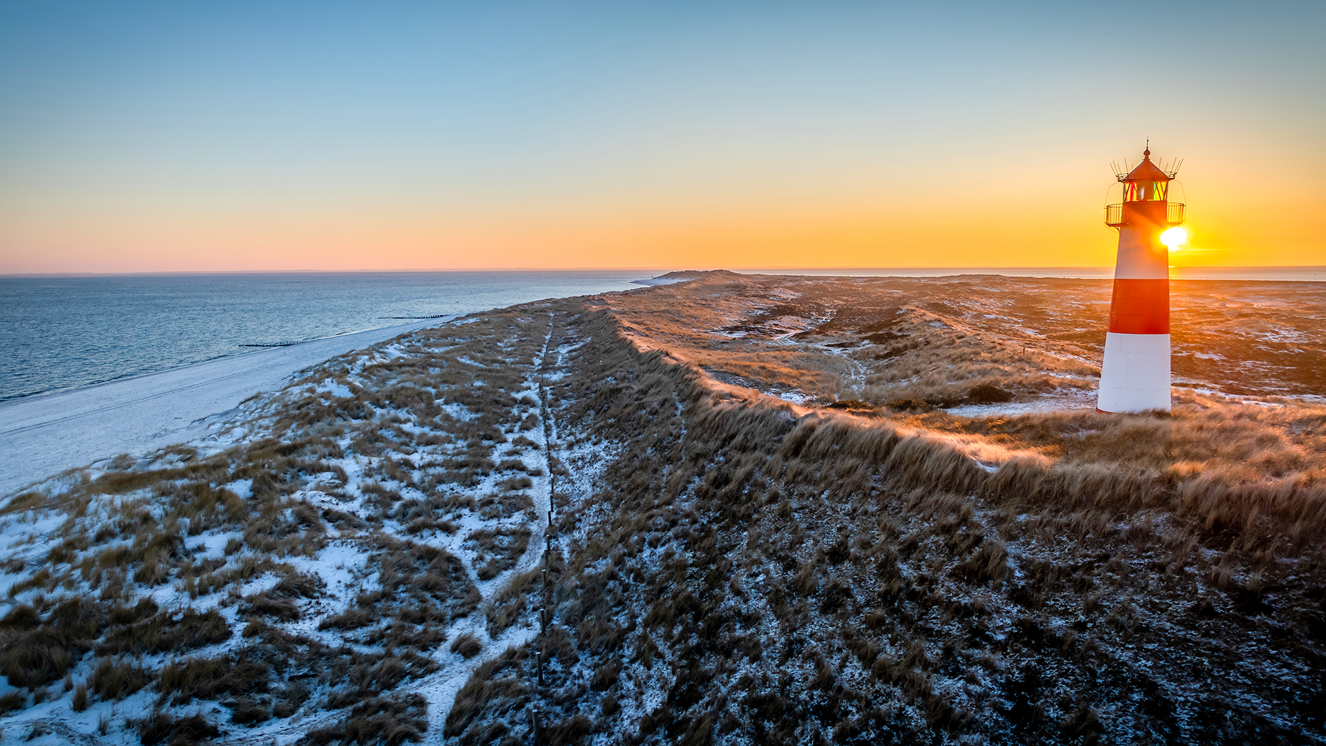 2 Tage Winterurlaub mit Hund auf Sylt für 2 (1 Nacht) inkl. Frühstück Weihnachtsreise 2024 online kaufen