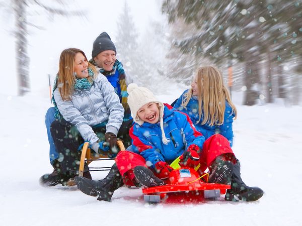 3 Tage Rodel-Familien-Highlight inkl. HP+ in Seiffen, Sachsen inkl. Halbpension Plus Weihnachtsreise 2024 online kaufen