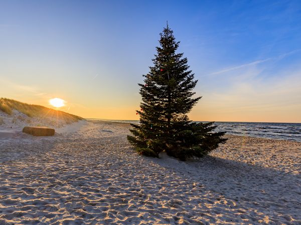 3 Tage Weihnachten an der Ostsee in Ostseebad Koserow (Usedom), Mecklenburg-Vorpommern inkl. Halbpension Weihnachtsreise 2024 online kaufen 3 Tage Weihnachten an der Ostsee in Ostseebad Koserow (Usedom), Mecklenburg-Vorpommern inkl. Halbpension Weihnachtsreise 2024 online kaufen