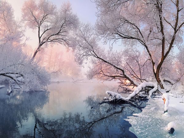 3 Tage Weihnachten in der Mecklenburgischen Seenplatte in Neustrelitz, Mecklenburg-Vorpommern inkl. Halbpension Weihnachtsreise 2024 online kaufen