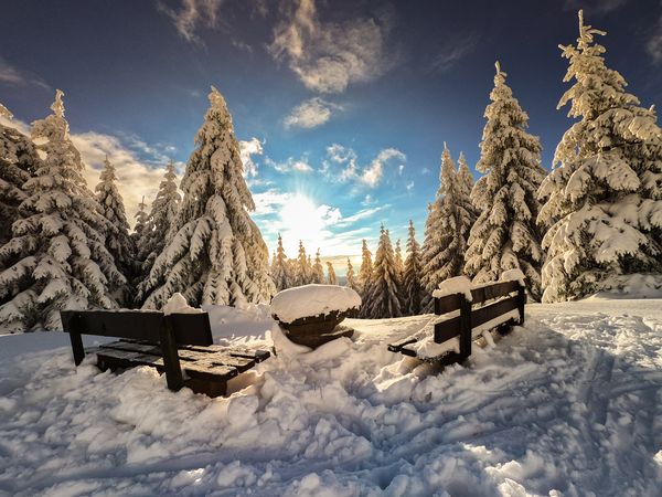 3 Tage Weihnachten in Thüringen in Apfelstädt inkl. Halbpension Weihnachtsreise 2024 online kaufen