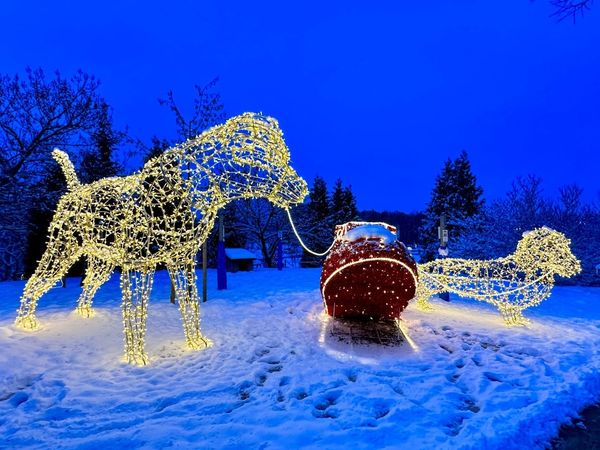 3 Tage Weihnachtsferien mit Lichterzauber in Lichtenau (Sachsen) inkl. Halbpension Weihnachtsreise 2024 online kaufen