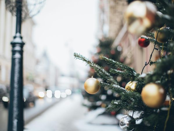 3 Tage Weihnachtsmarkt & Lichterwelt mit TouristCard in Magdeburg, Sachsen-Anhalt inkl. Frühstück Weihnachtsreise 2024 online kaufen