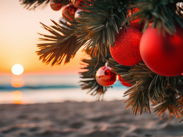 4 Tage Himmlische Weihnachten an der Ostsee in Ostseebad Heringsdorf, Mecklenburg-Vorpommern inkl. Halbpension Weihnachtsreise 2024 online kaufen