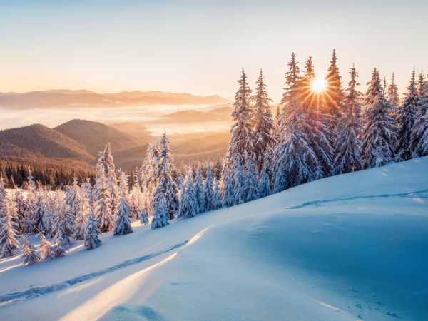 4 Tage Silvester im wunderschönen Bad Tölz, Bayern inkl. Halbpension Weihnachtsreise 2024 online kaufen 4 Tage Silvester im wunderschönen Bad Tölz, Bayern inkl. Halbpension Weihnachtsreise 2024 online kaufen