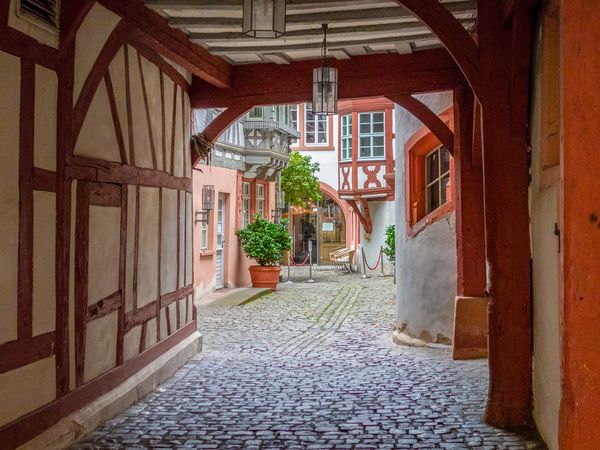 89 Euro-Winter-Special - 3 Tage Neustadt an der Weinstraße, Rheinland-Pfalz inkl. Frühstück Weihnachtsreise 2024 online kaufen 89 Euro-Winter-Special - 3 Tage Neustadt an der Weinstraße, Rheinland-Pfalz inkl. Frühstück Weihnachtsreise 2024 online kaufen