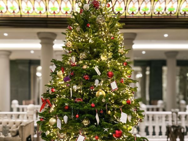 Weihnachten am schönsten Platz Berlins 5 Tage inkl. Halbpension Weihnachtsreise 2024 online kaufen Weihnachten am schönsten Platz Berlins 5 Tage inkl. Halbpension Weihnachtsreise 2024 online kaufen