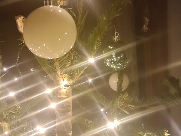 Weihnachten im Stubaital inkl. kleiner Weihnachtsfeier | 7 Tage in Fulpmes, Tirol inkl. Frühstück Weihnachtsreise 2024 online kaufen Weihnachten im Stubaital inkl. kleiner Weihnachtsfeier | 7 Tage in Fulpmes, Tirol inkl. Frühstück Weihnachtsreise 2024 online kaufen