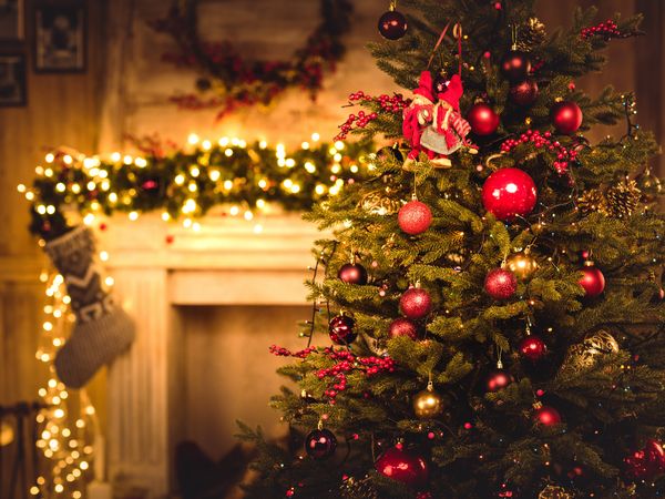 Weihnachten in Berlin - 4 Tage inkl. Halbpension Weihnachtsreise 2024 online kaufen