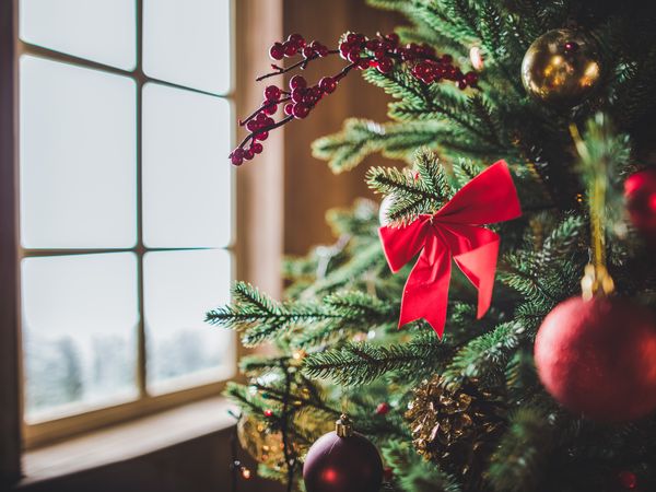 Weihnachtszauber - 4 Tage in Spornitz, Mecklenburg-Vorpommern inkl. Halbpension Weihnachtsreise 2024 online kaufen Weihnachtszauber - 4 Tage in Spornitz, Mecklenburg-Vorpommern inkl. Halbpension Weihnachtsreise 2024 online kaufen