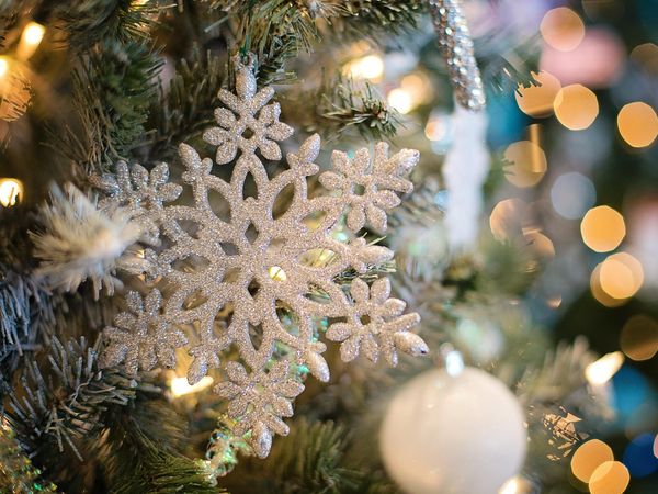 Weihnachtszauber am Meer - 5 Tage mit HP in Treptower Deep (Mrzezyno), Westpommern inkl. Halbpension Weihnachtsreise 2024 Produktbild